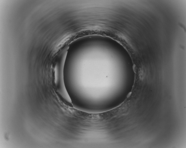 X0000099490968200805151403