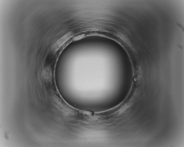 X0000099490969200805151403