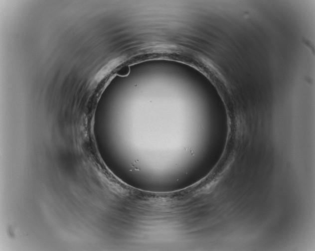 X0000099490970200805151403