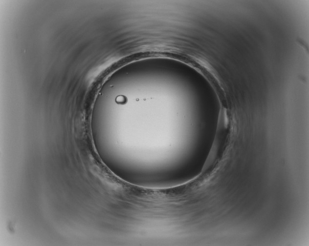 X0000099490971200805151403