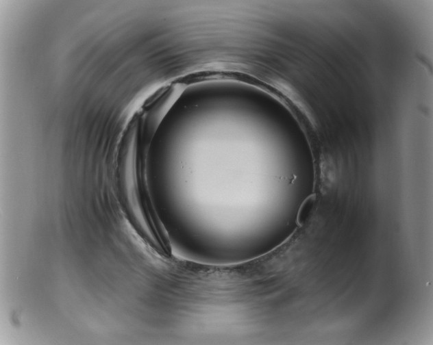 X0000099490972200805151403