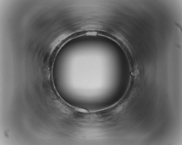 X0000099490973200805151403