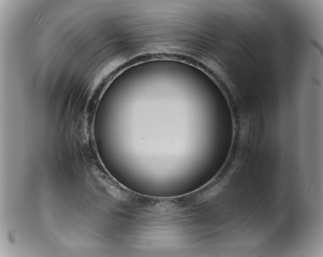 X0000099490974200805151403