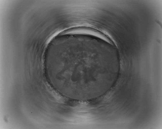 X0000099490975200805151403