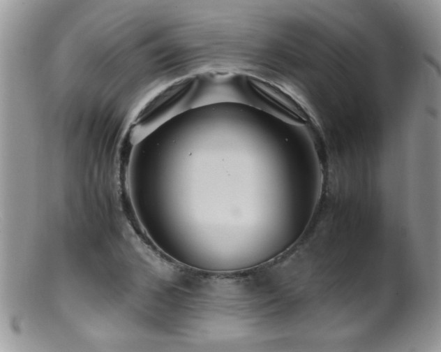 X0000099490976200805151403