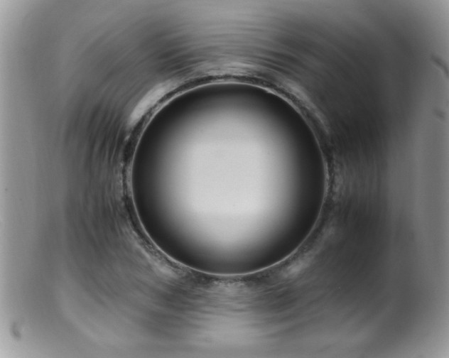 X0000099490978200805151403