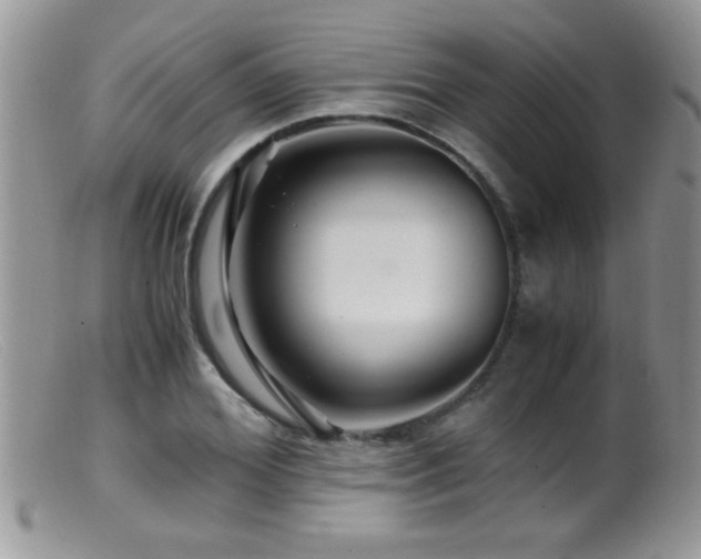 X0000099490980200805151402