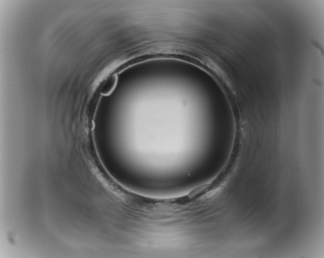 X0000099490981200805151402