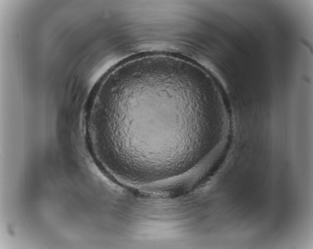X0000099490983200805151402