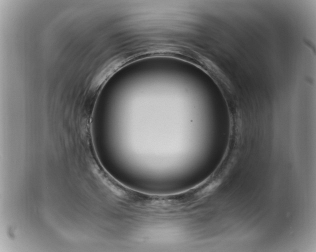 X0000099490985200805151402