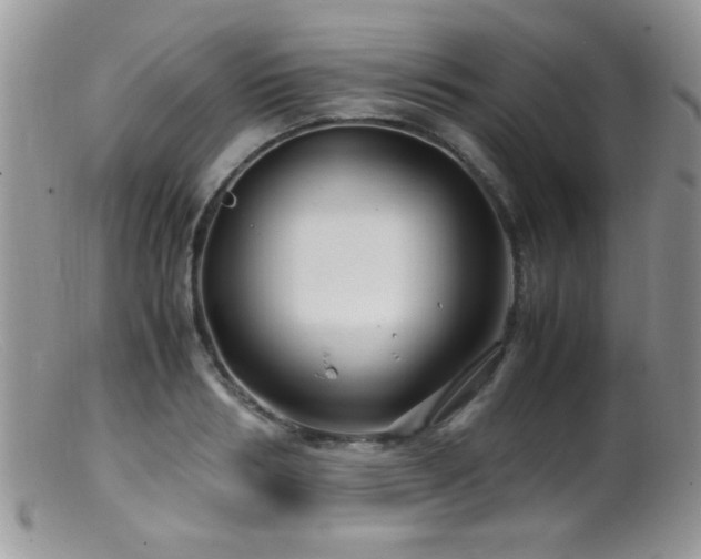 X0000099490986200805151402