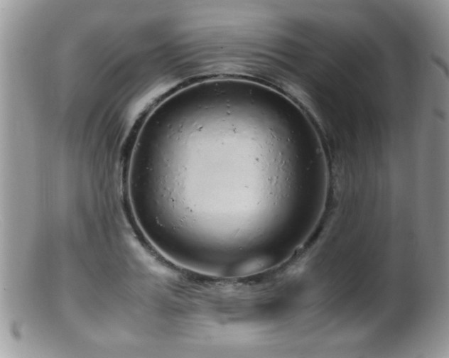 X0000099490987200805151402
