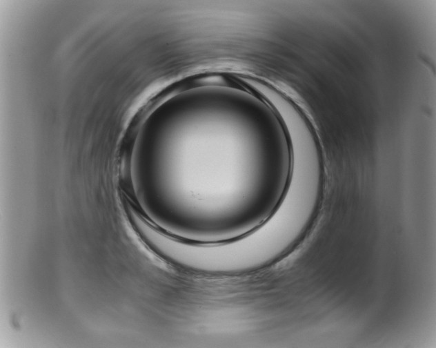 X0000099490989200805151402
