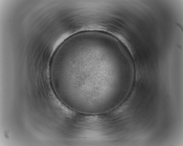 X0000099490990200805151402