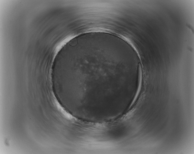 X0000099490995200805151402