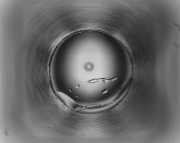 X0000099490996200805151402