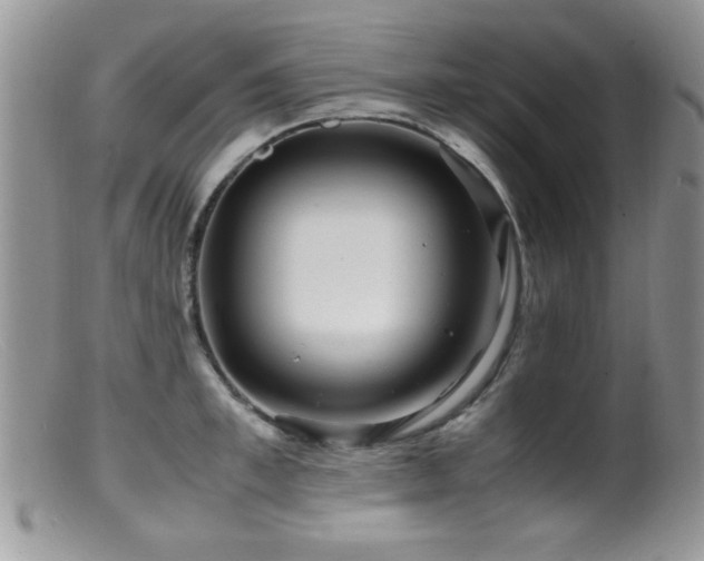X0000099490997200805151402