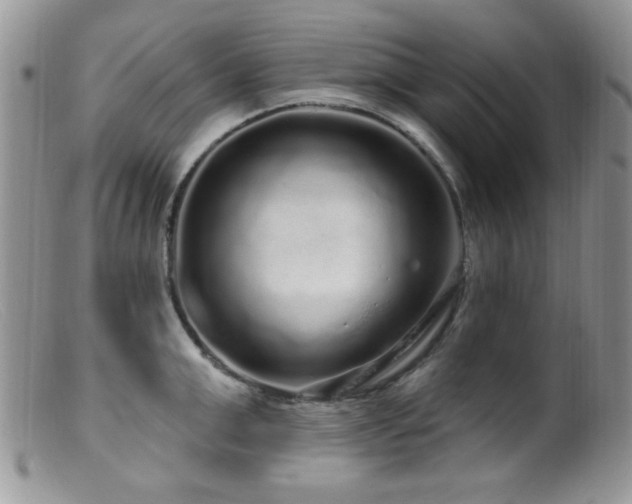 X0000099490999200805151402