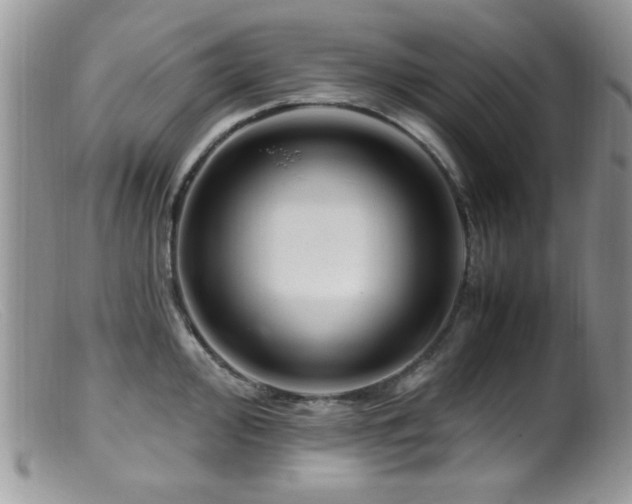 X0000099491000200805151402