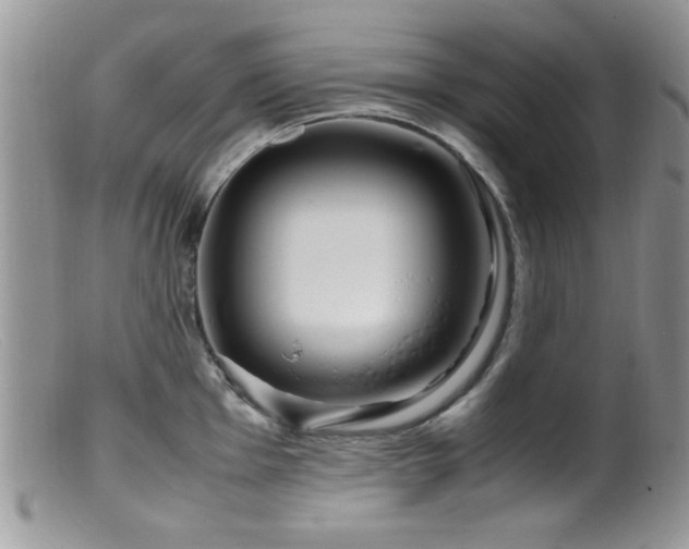 X0000099491001200805151402