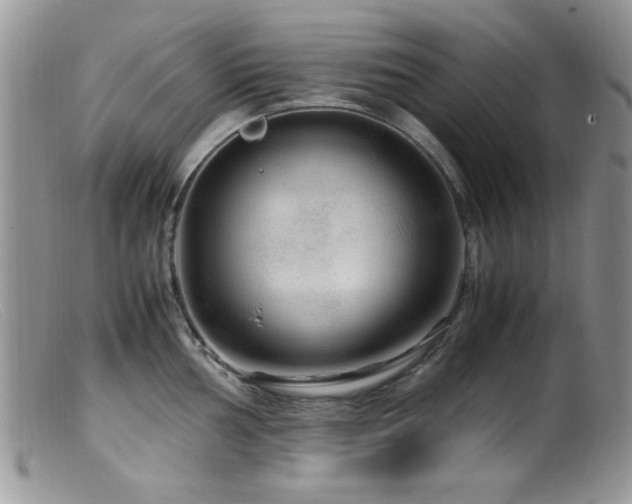 X0000099491002200805151402