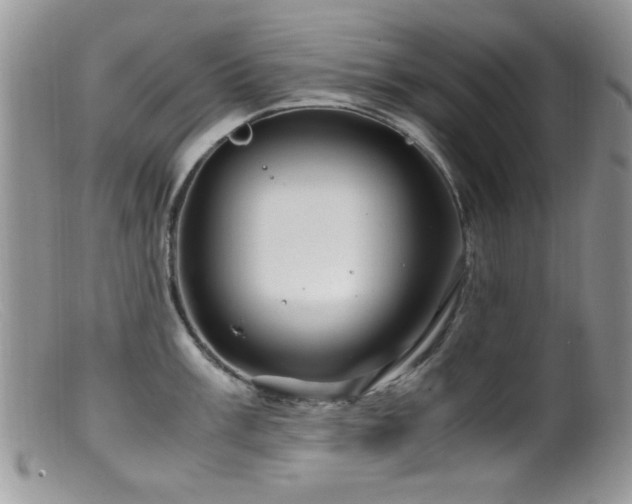 X0000099491003200805151402