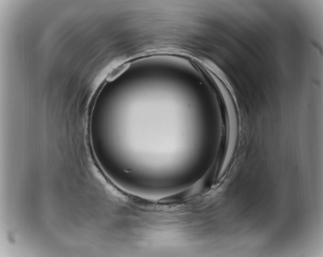 X0000099491005200805151402