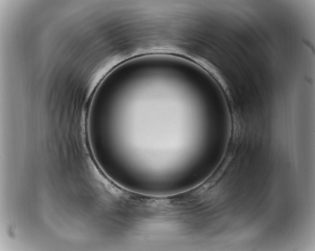 X0000099491006200805151402