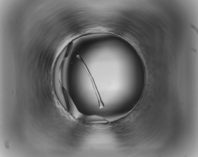 X0000099491008200805151402