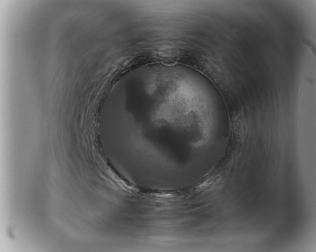 X0000099491009200805151401