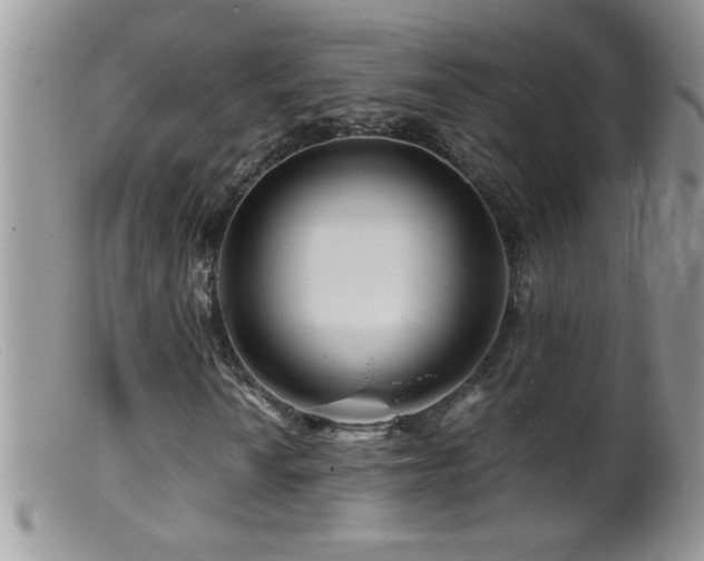 X0000099491010200805151401