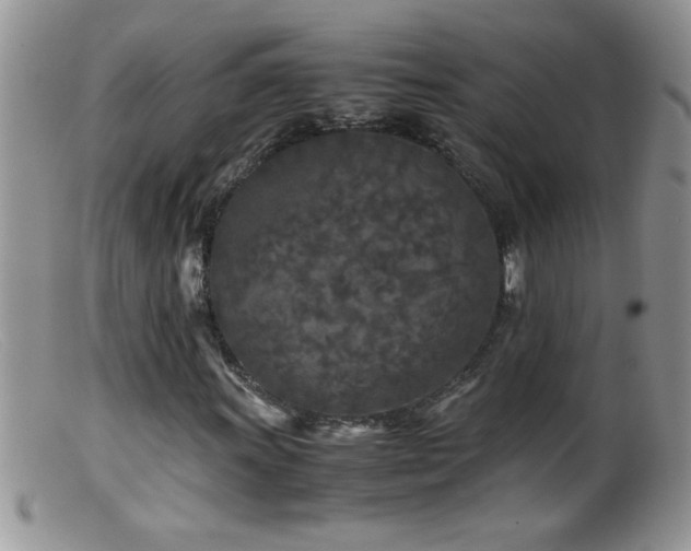 X0000099491011200805151401