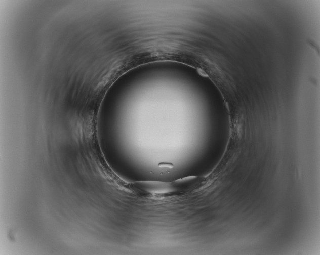 X0000099491012200805151401