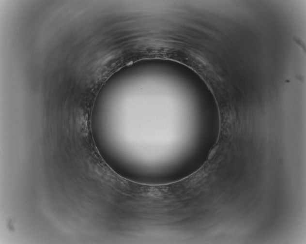 X0000099491013200805151401
