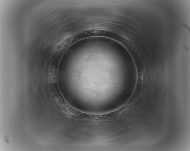 X0000099491014200805151401