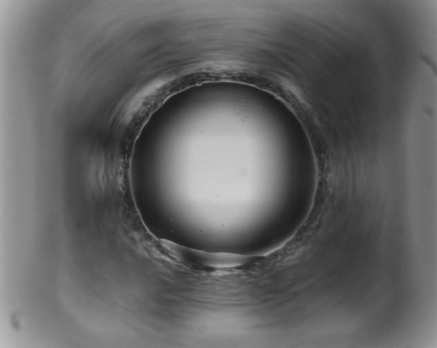 X0000099491016200805151401