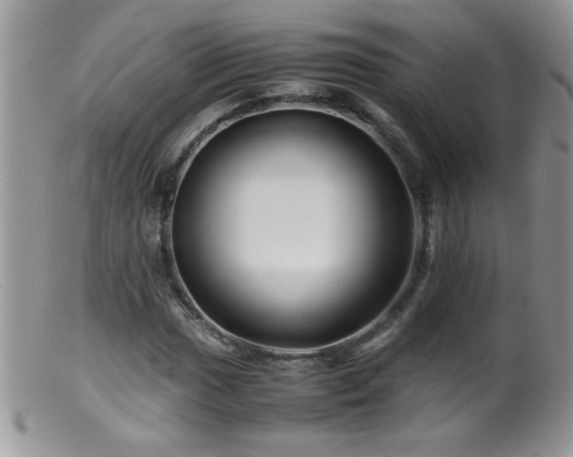 X0000099491017200805151401