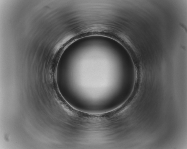 X0000099491018200805151401
