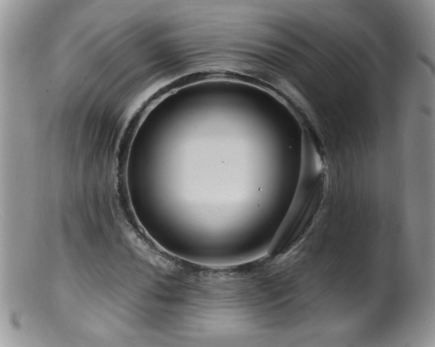 X0000099491020200805151402