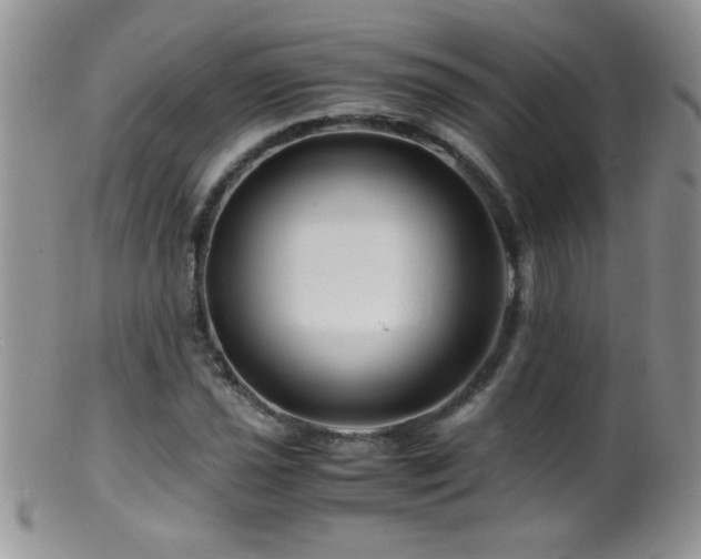 X0000099491021200805151402