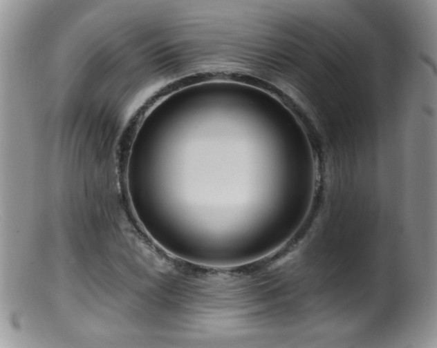 X0000099491022200805151402