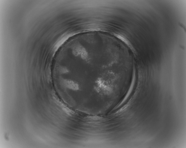 X0000099491023200805151402