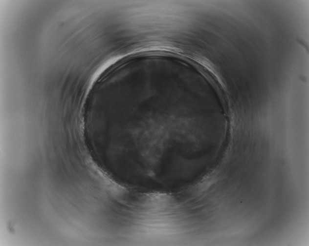 X0000099491024200805151402