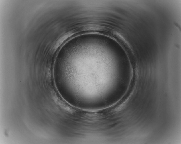 X0000099491025200805151402