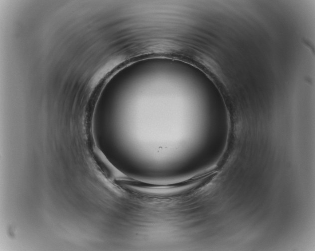 X0000099491026200805151402