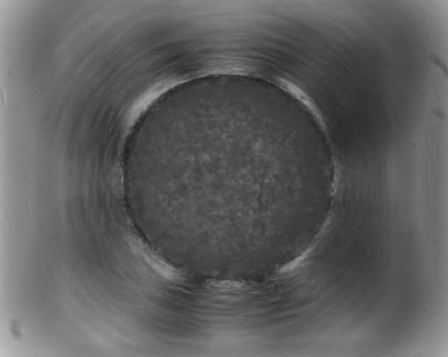 X0000099491027200805151402