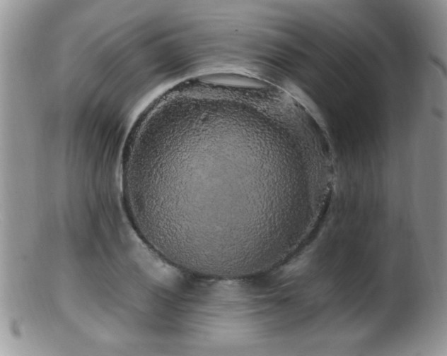 X0000099491028200805151402