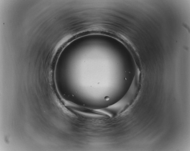 X0000099491029200805151402