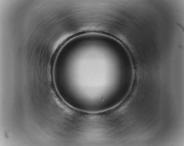 X0000099491030200805151402