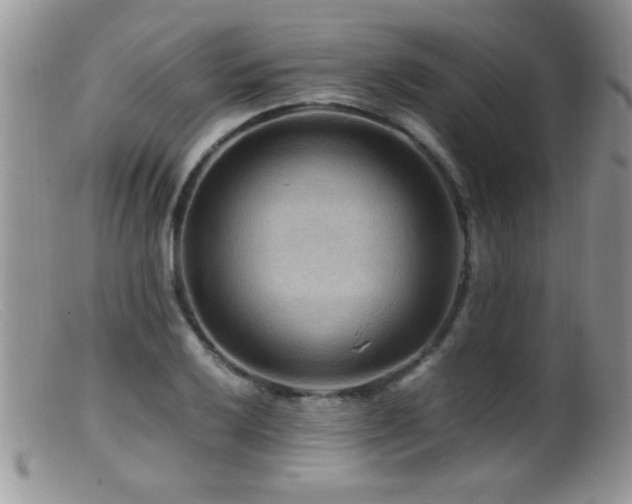 X0000099491032200805151402